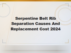 Serpentine Belt Rib Separation: Causes, Symptoms and Replacement Cost 2024